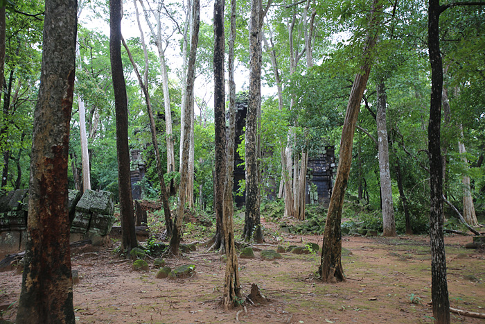 Prasat Chrap Temple, Koh Ker, Cambodia